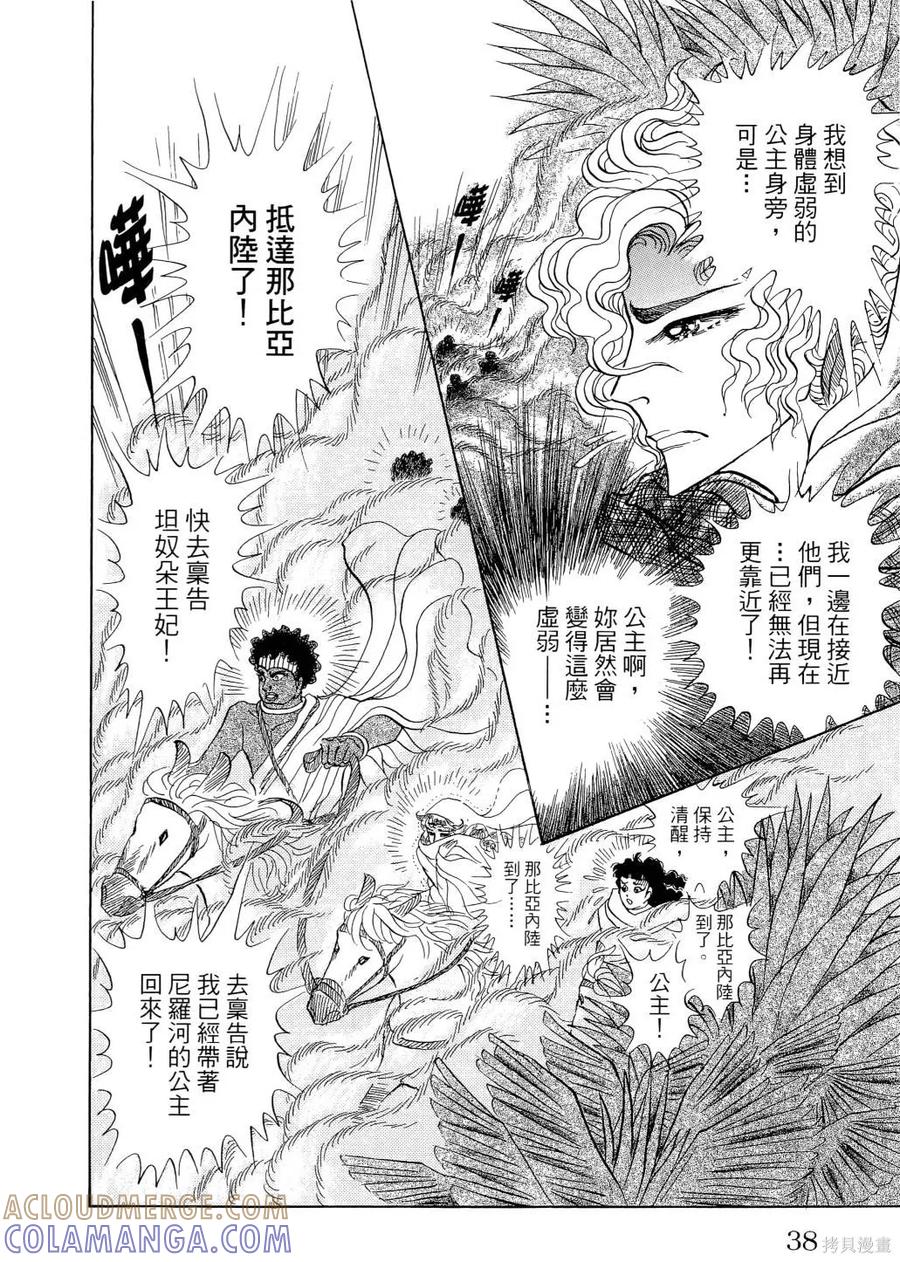 第41页