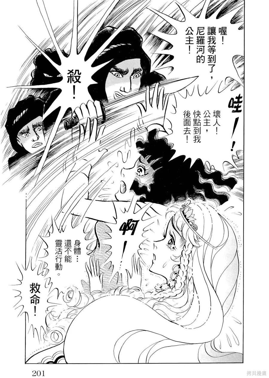 第204页