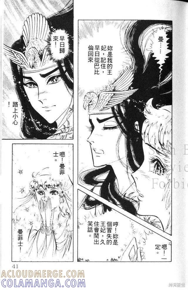 第41页