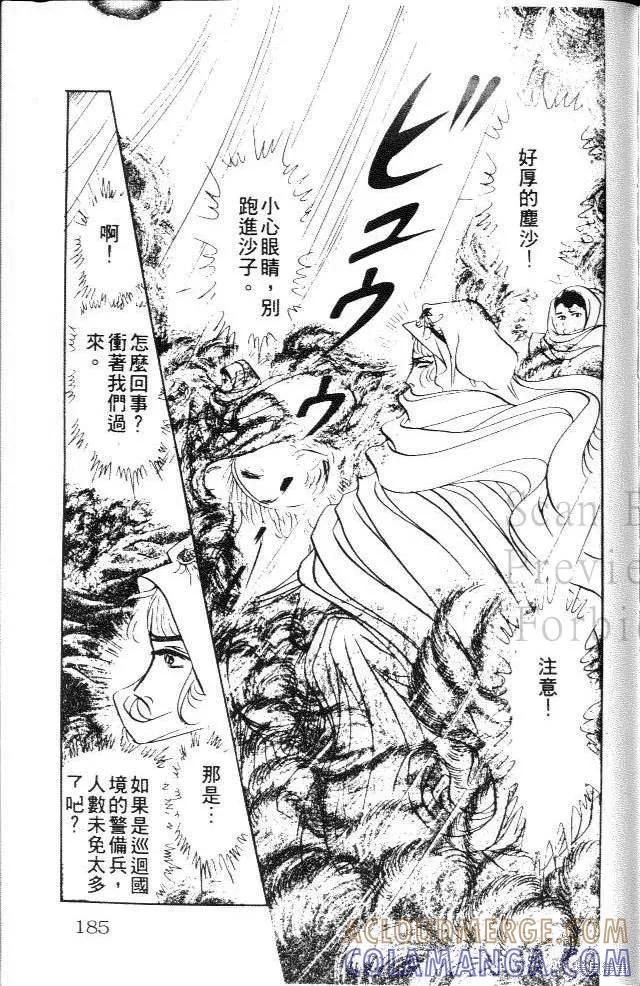 第185页