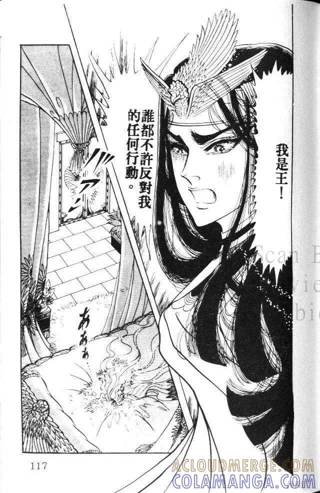 第117页