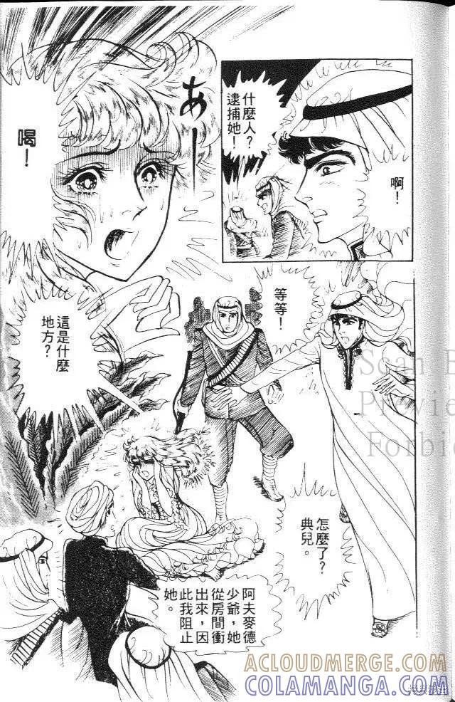 第205页