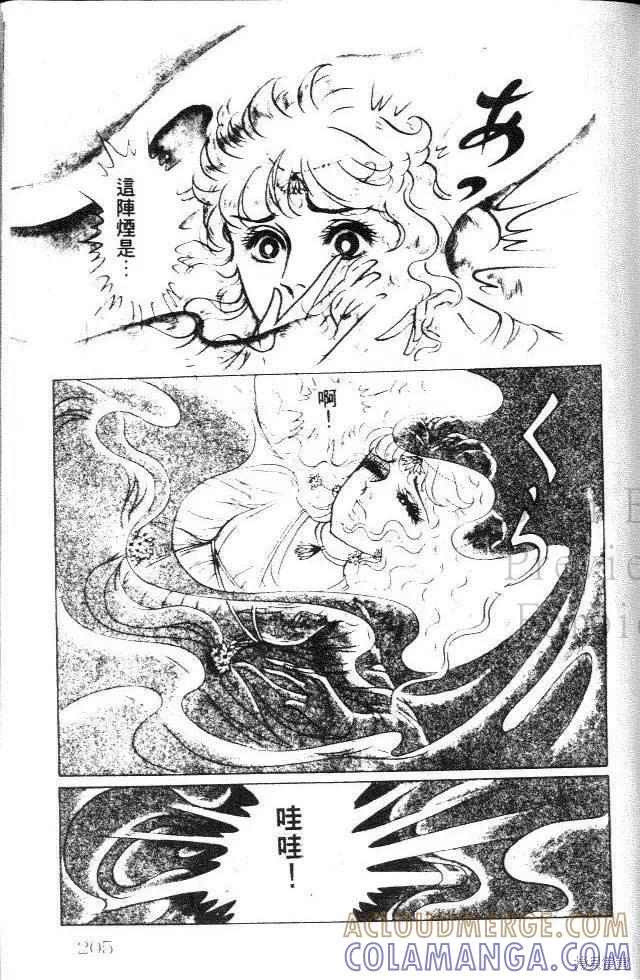 第205页
