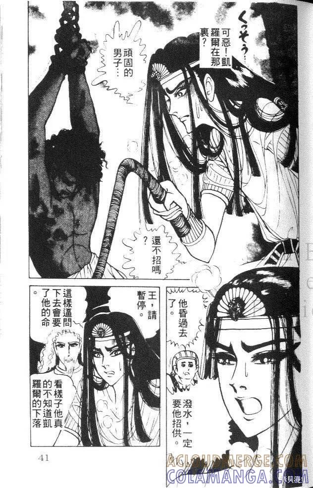 第41页
