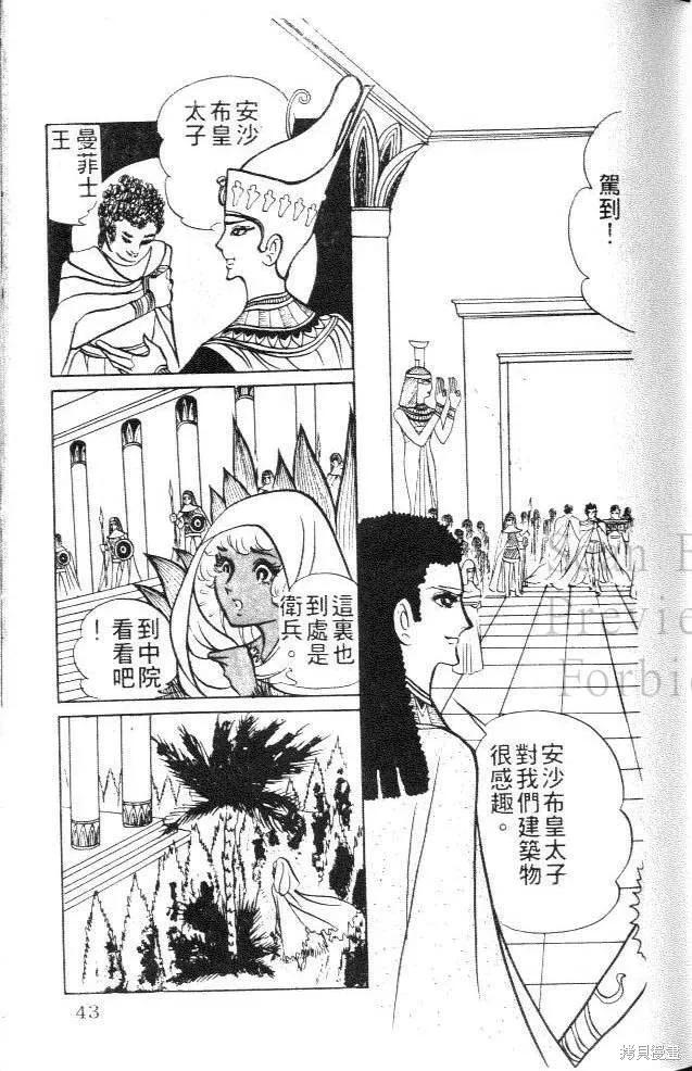 第43页