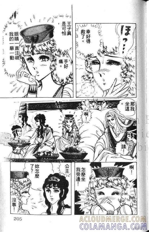 第205页