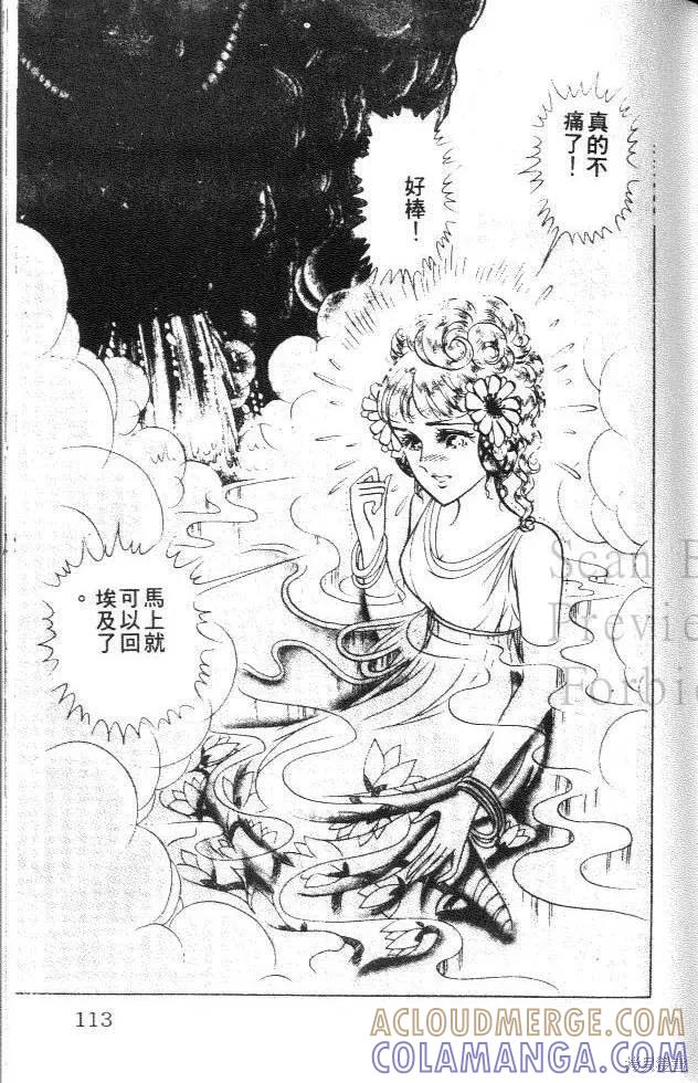 第113页