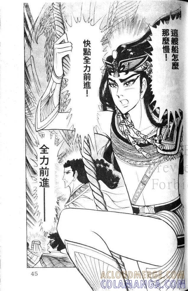第41页