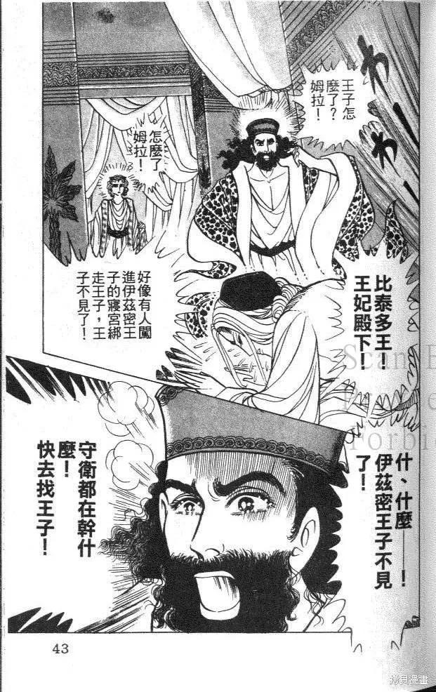 第43页