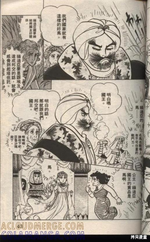 第41页