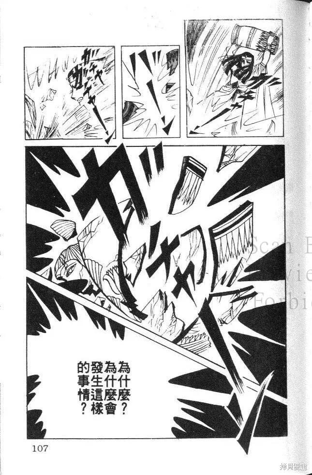 第107页