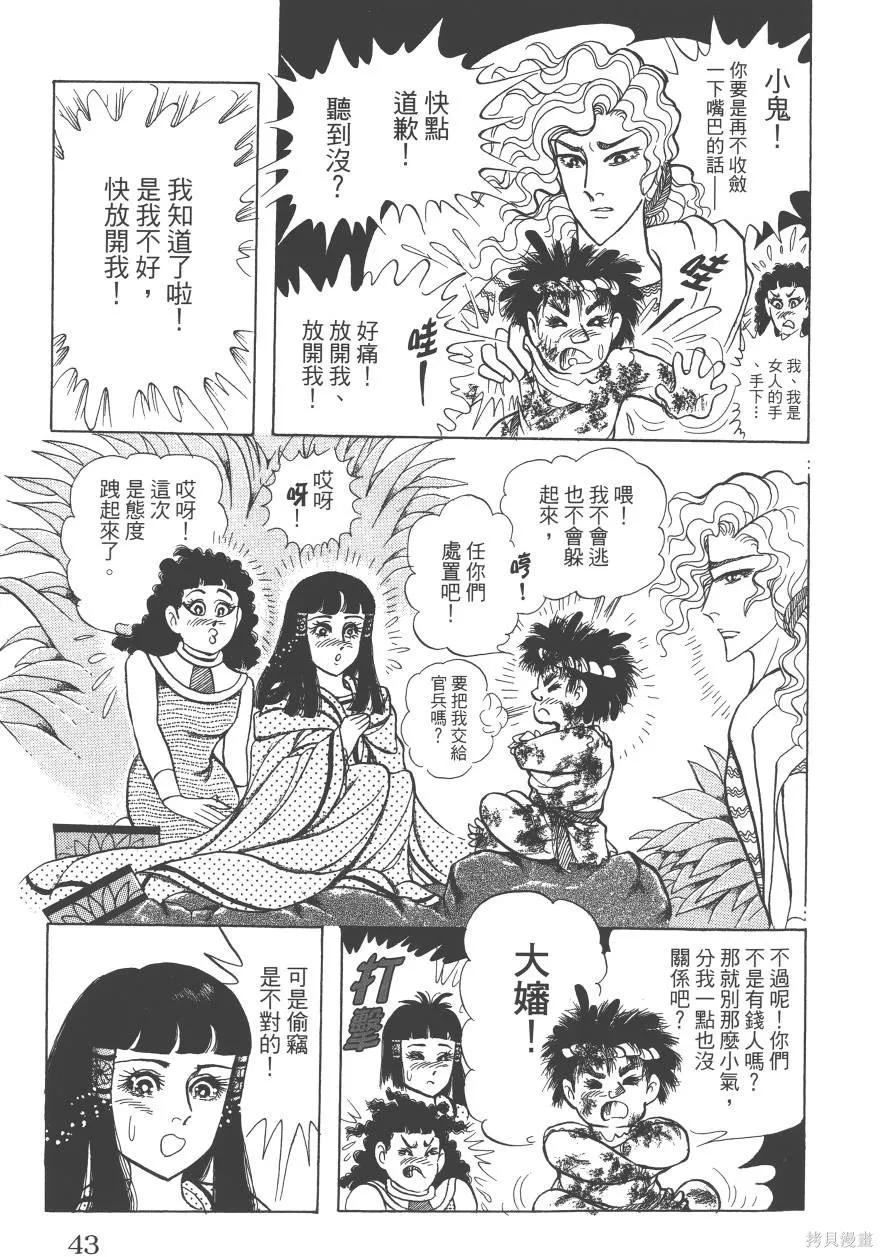 第43页