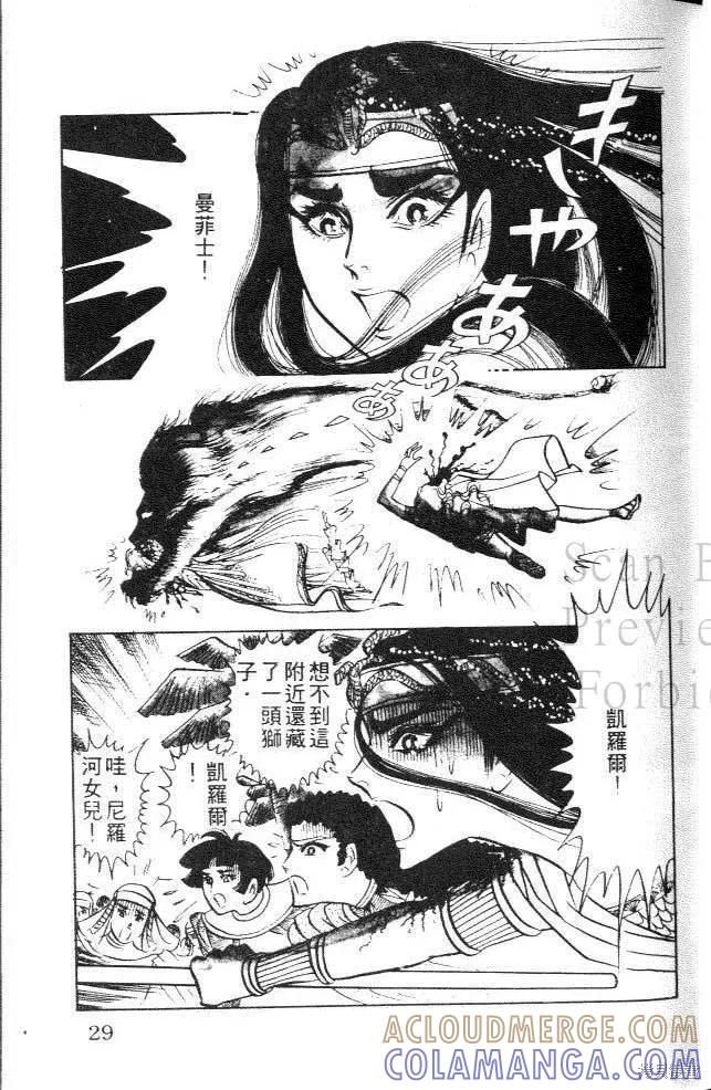 第29页