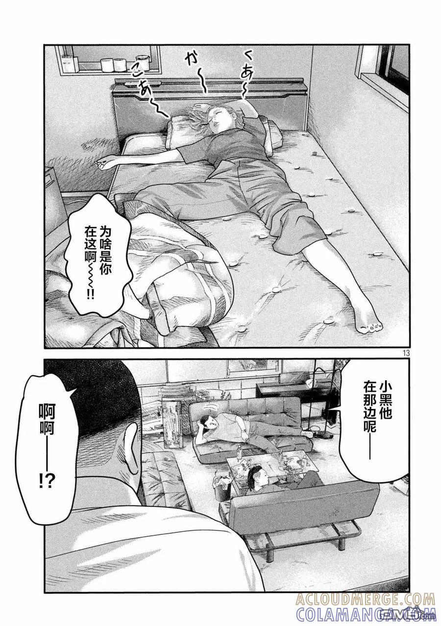 第13页