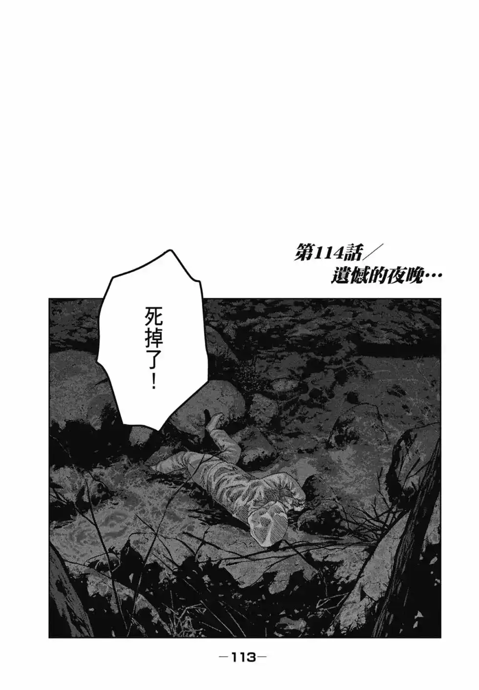 第113页