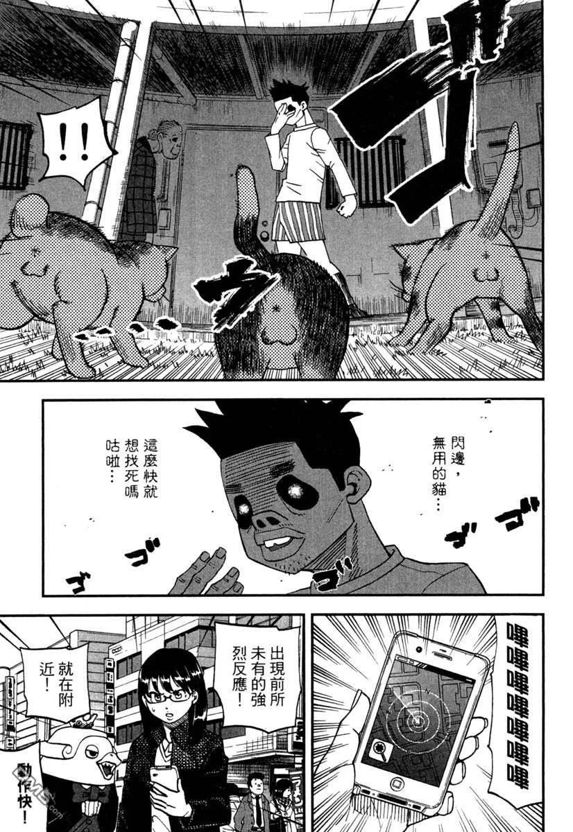 第31页