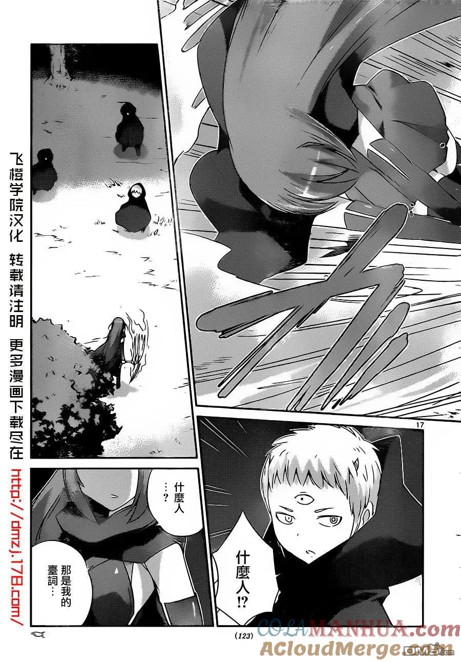 第17页