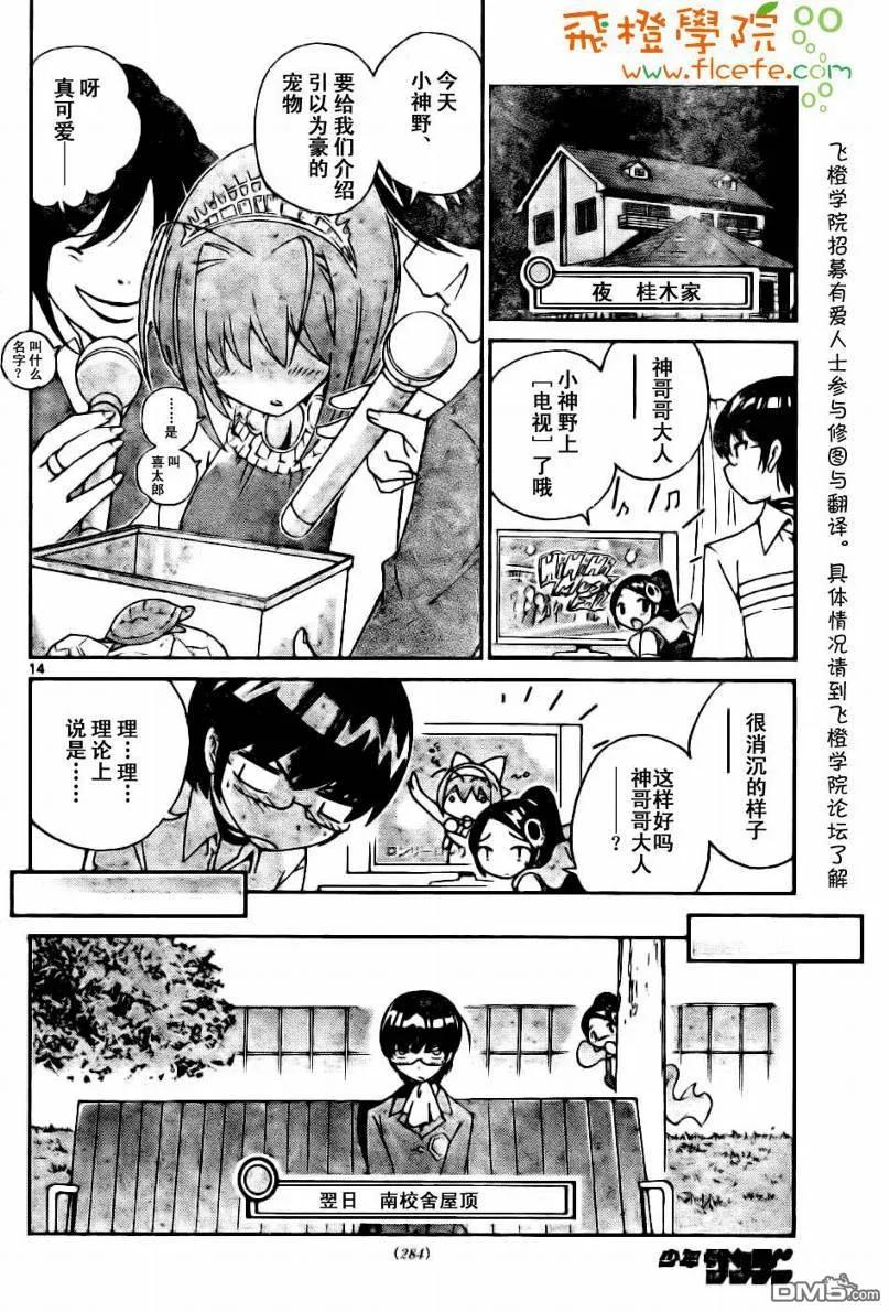 第14页