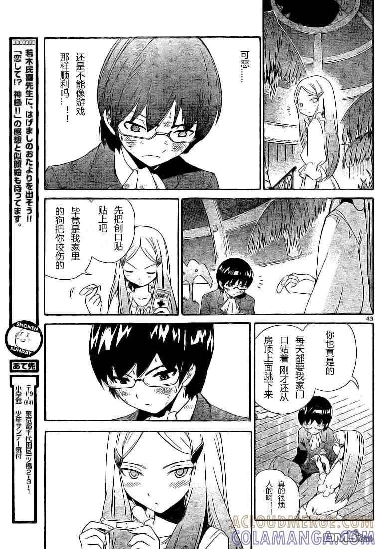第43页