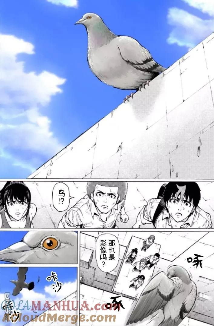 第77页