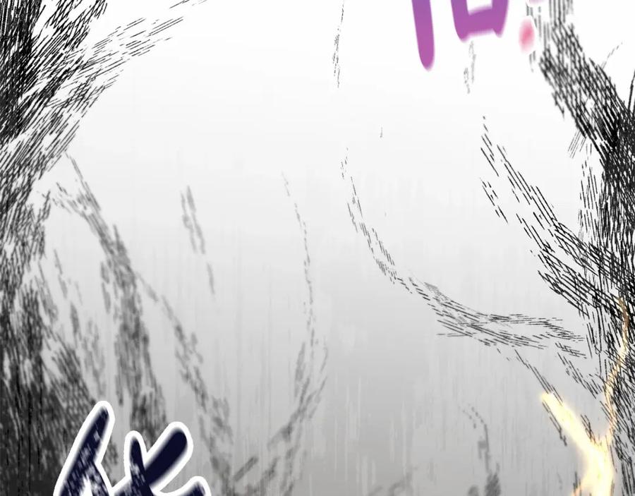 第240页
