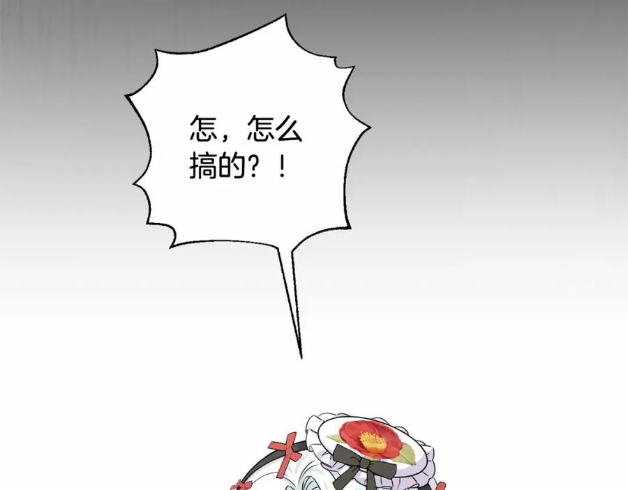 第246页