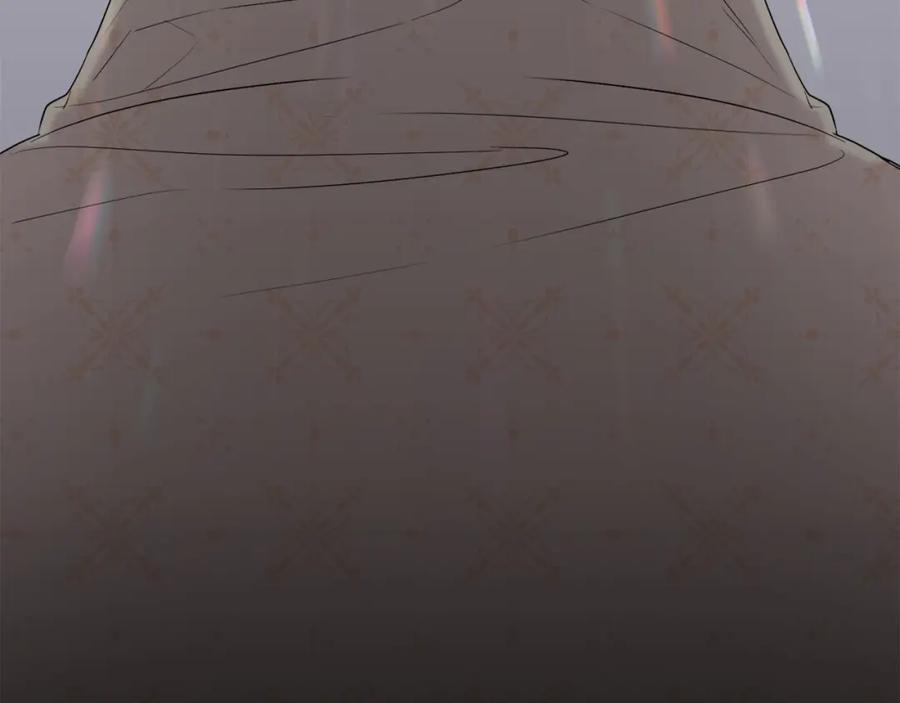第238页