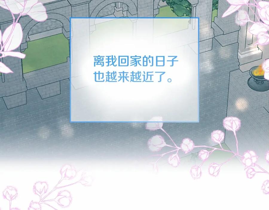 第242页