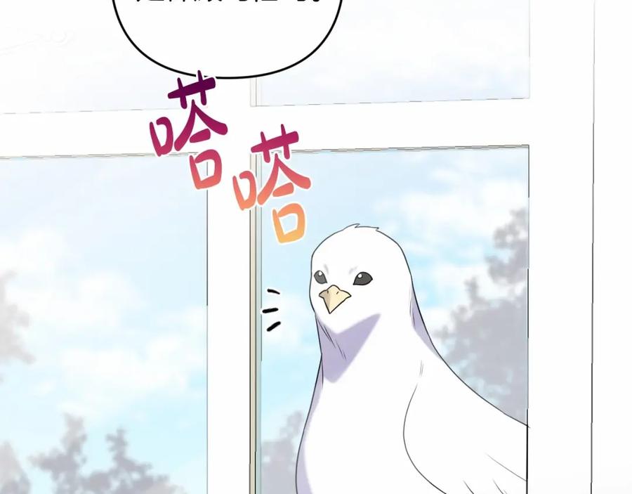 第196页