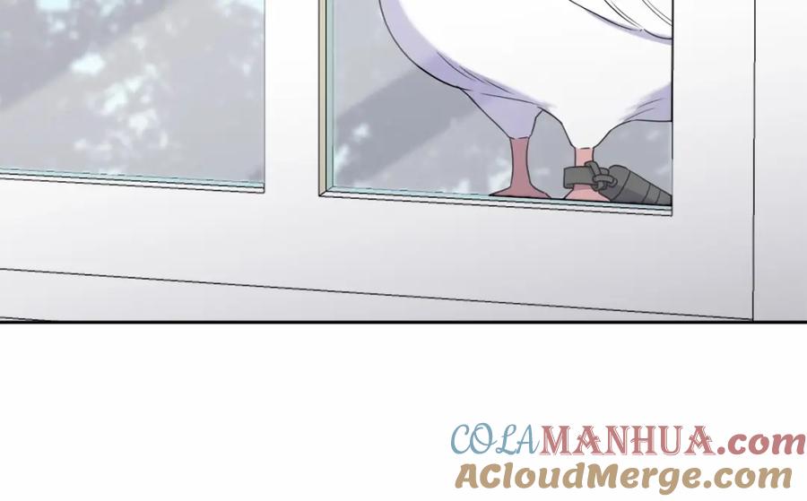 第197页