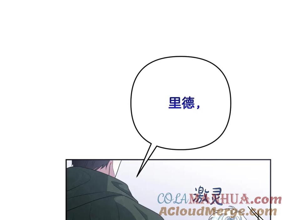 第232页