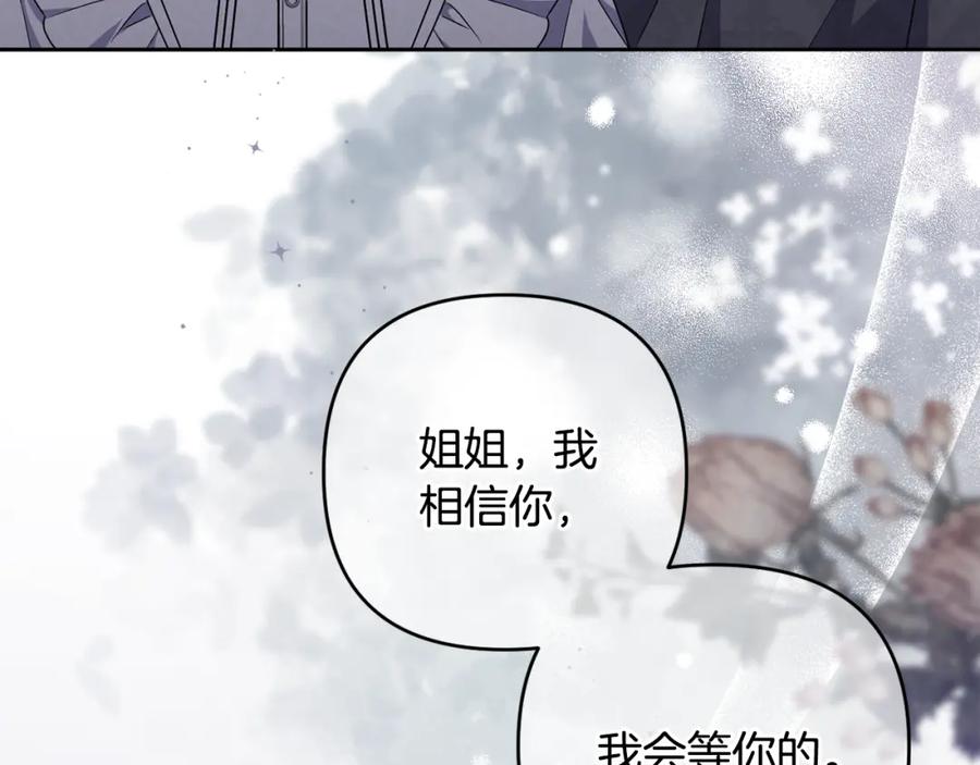 第223页