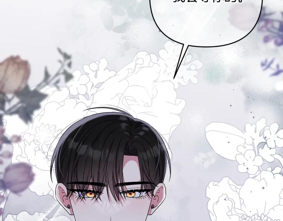 第224页