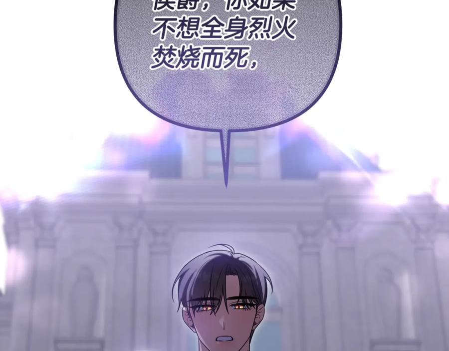 第224页