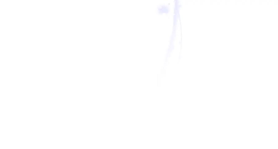 第238页