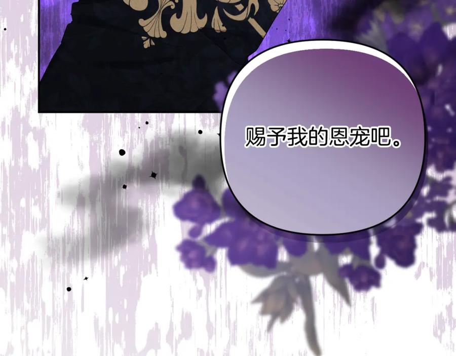 第215页