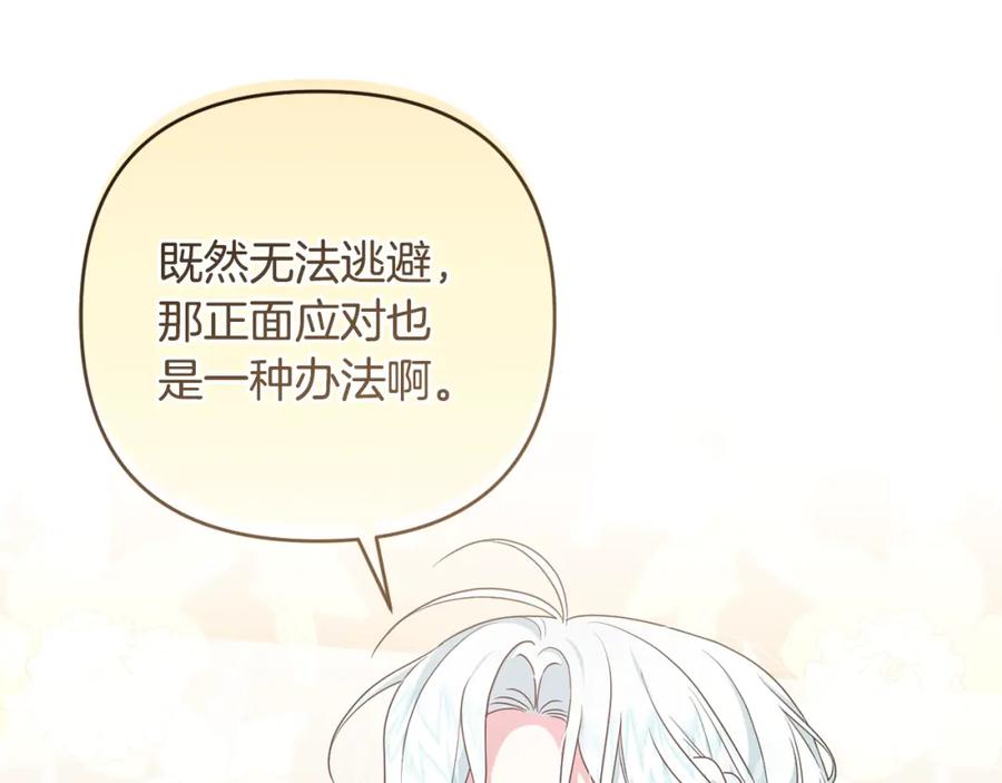 第244页
