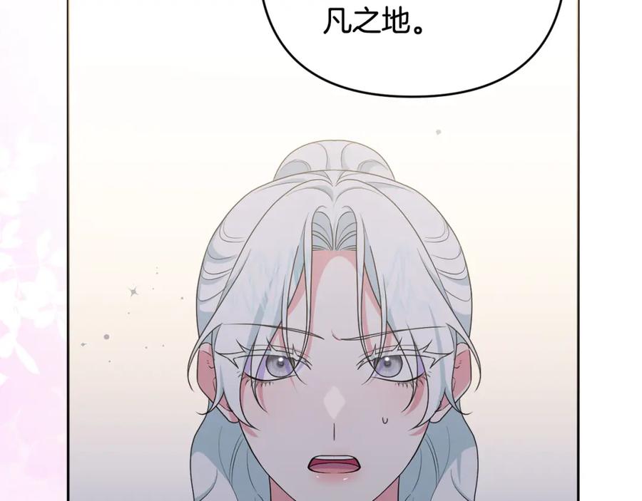 第223页