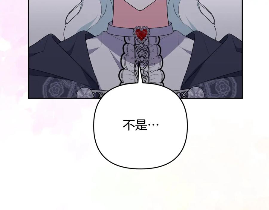 第224页