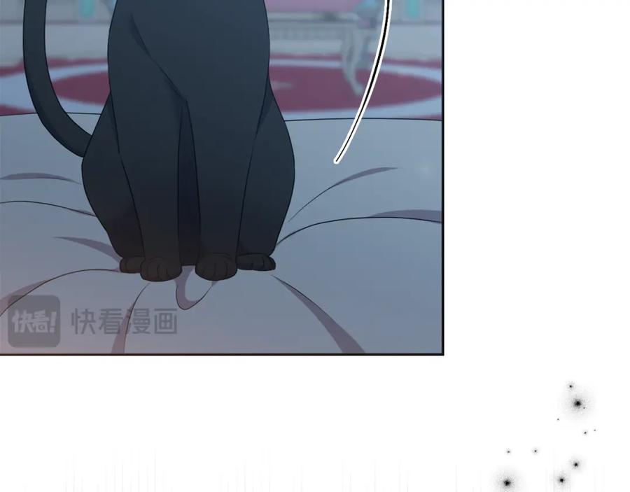 第206页