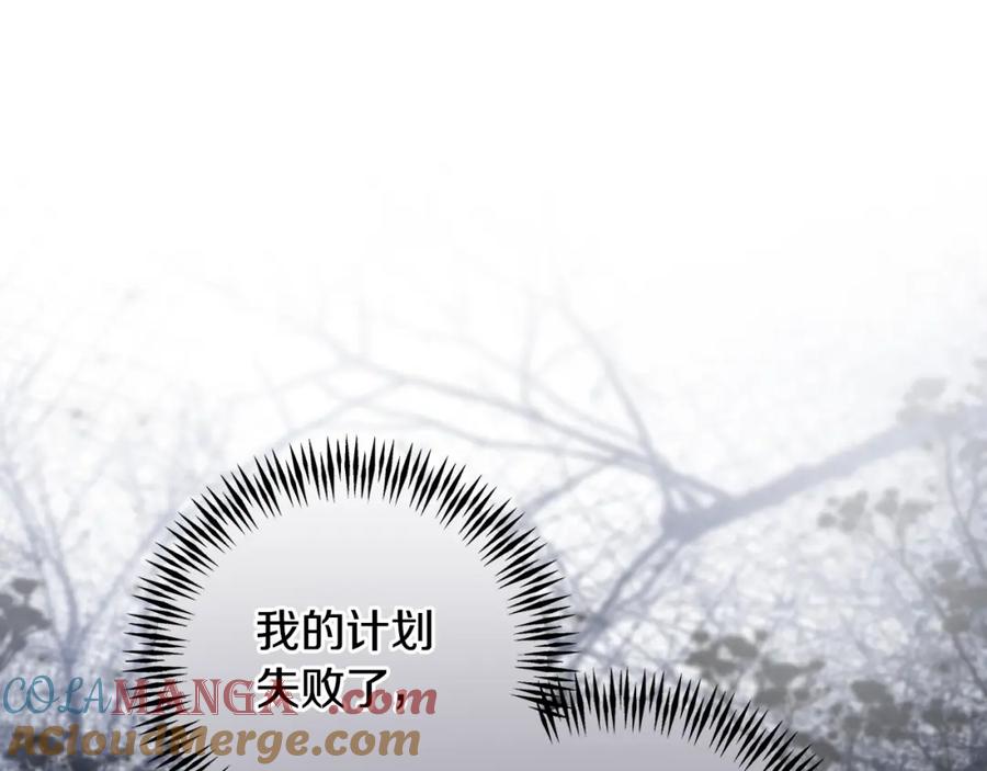 第233页