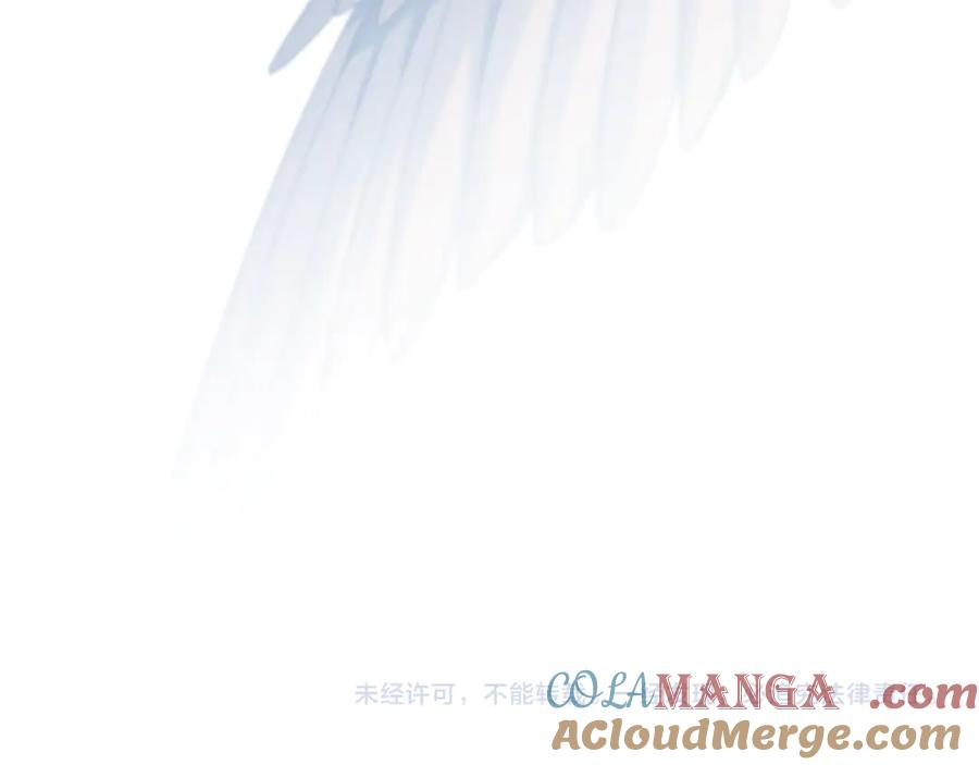 第233页