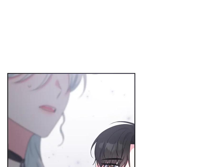 第223页