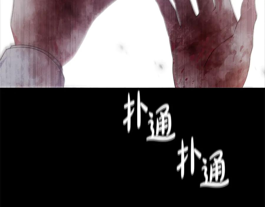 第223页