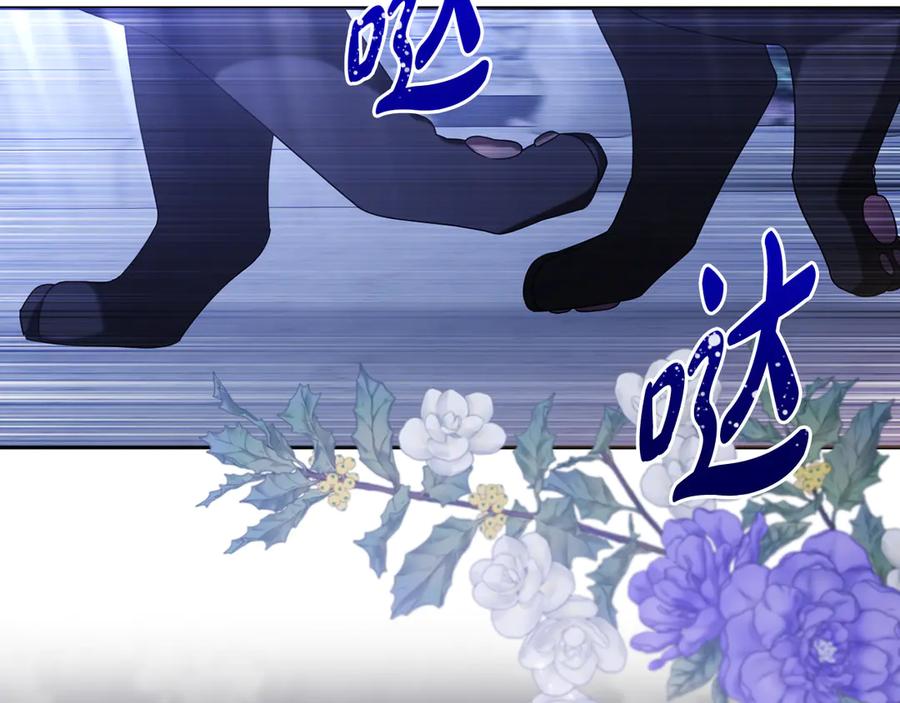 第203页