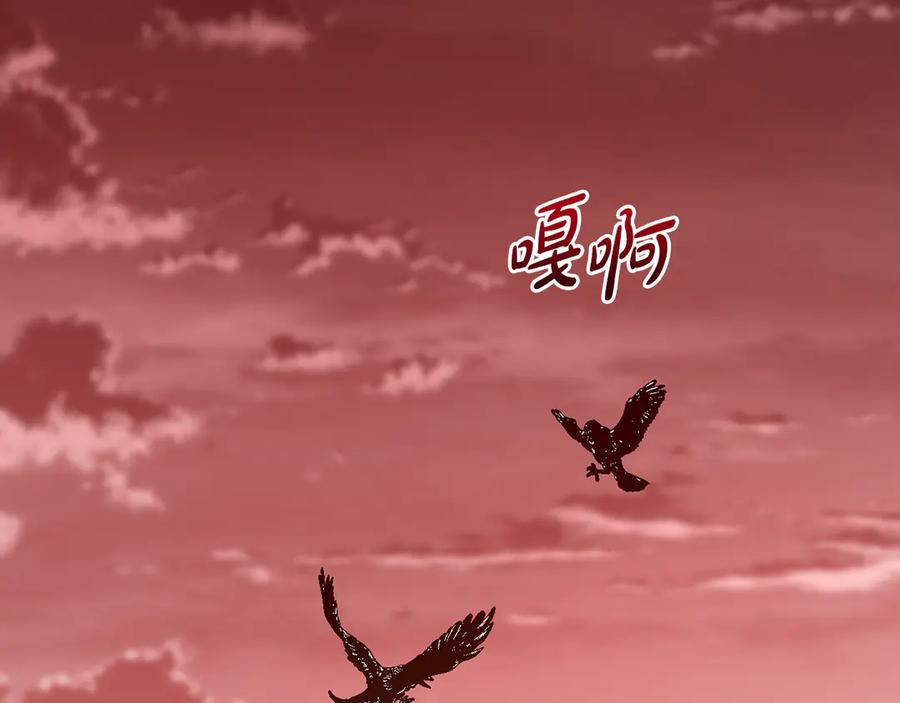 第202页