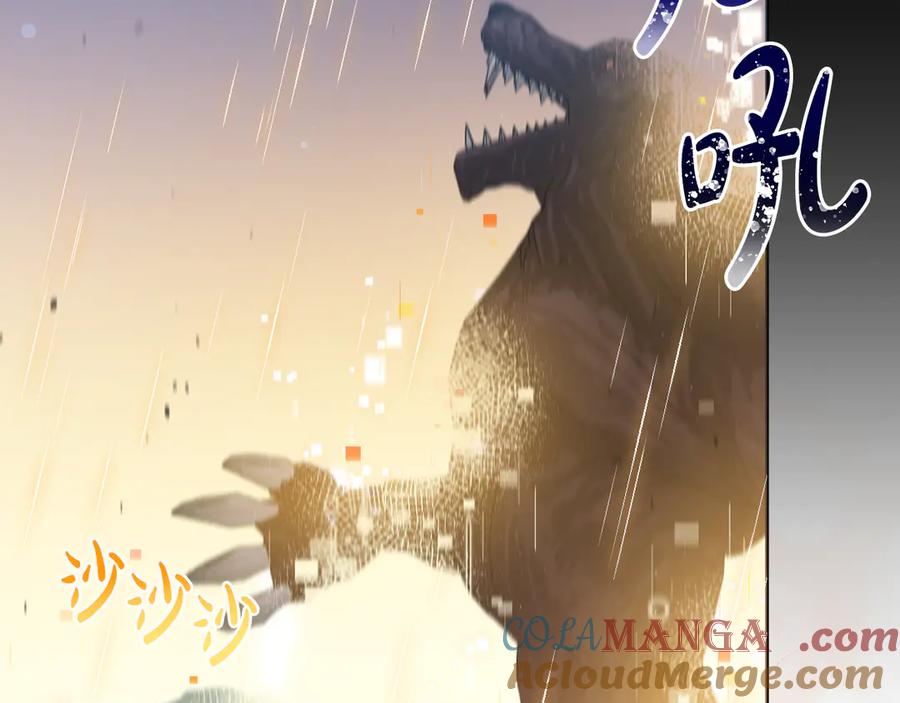 第205页