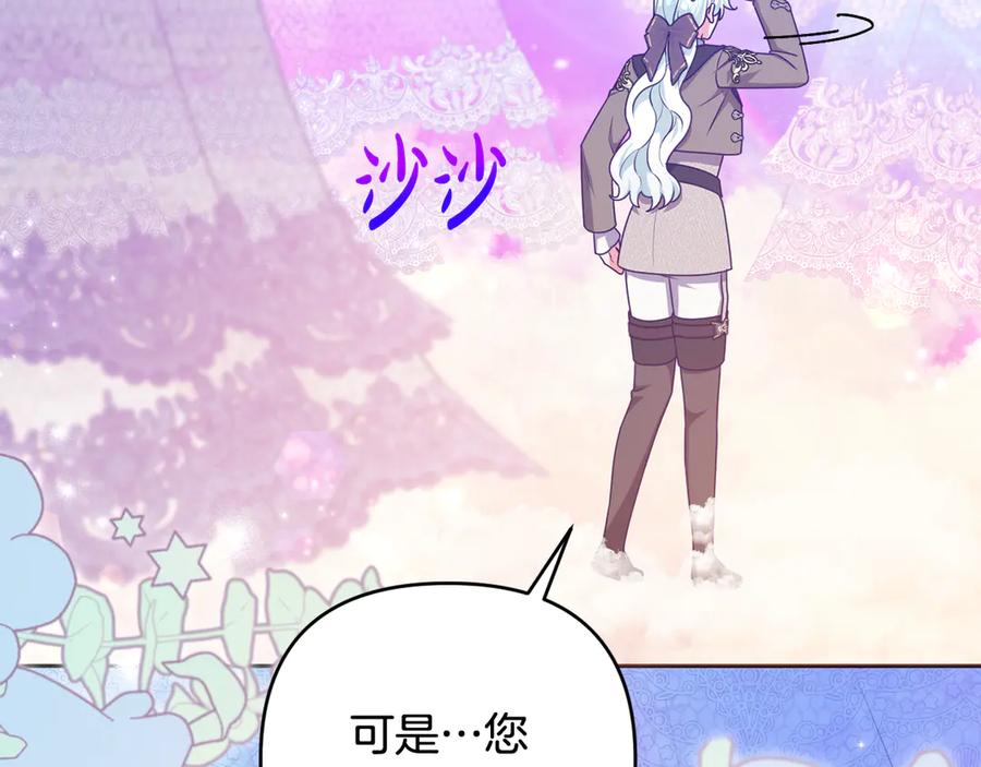 第223页