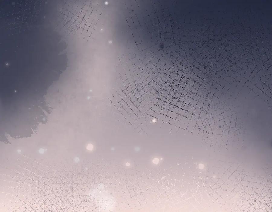 第242页