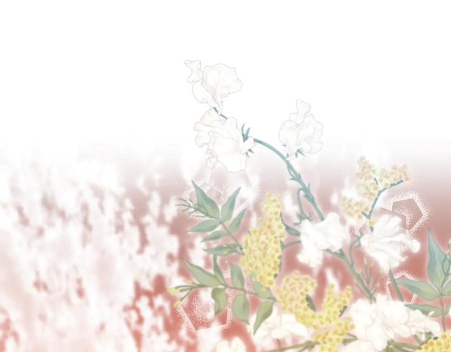 第243页